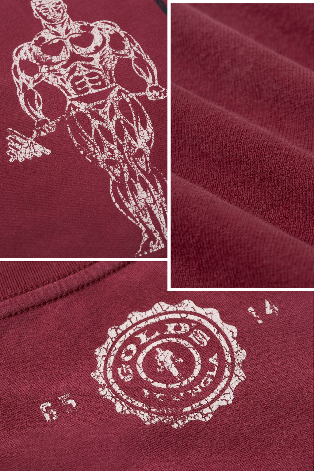 4213 - Gold's Iron Legacy Icon Tees