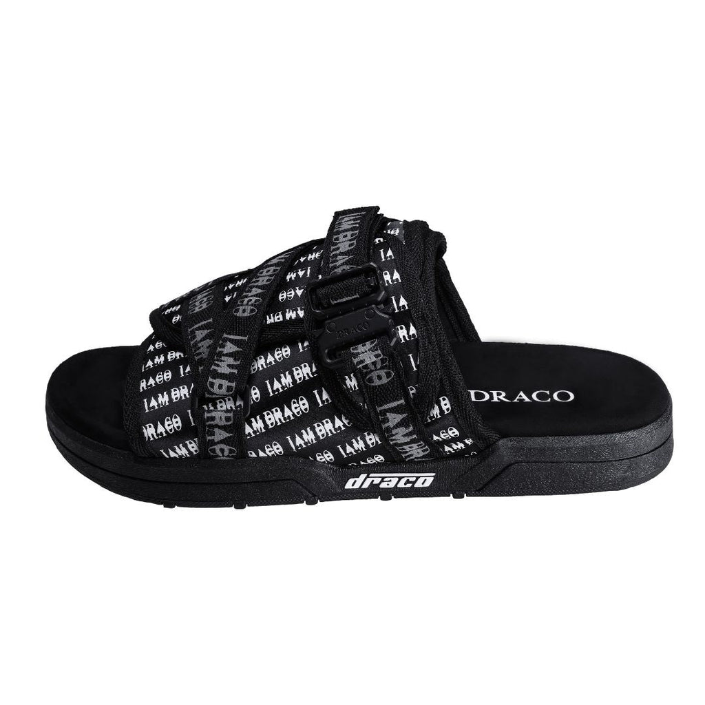 'I AM DRACO' SLIDES